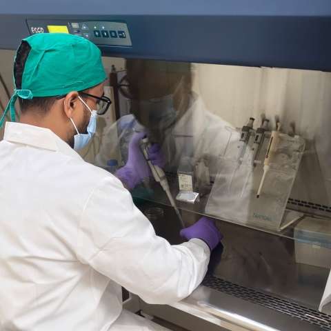 Lab Work Focus 6