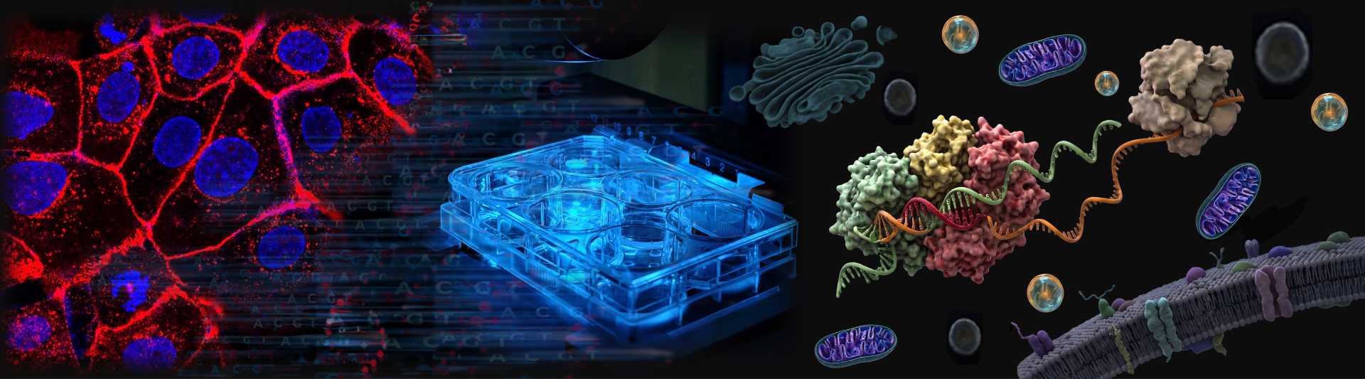 Lab Research