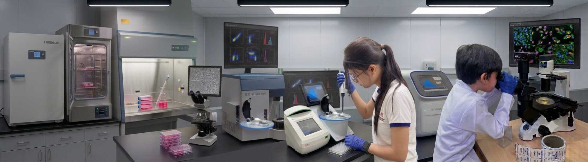 Lab Members Work